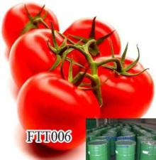 Aseptic tomato paste