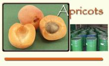  apricot s  puree , concentrate