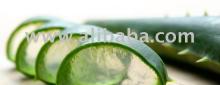 Aloe barbadensis / Aloevera Gel Juice