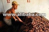 Dried Cocoa Seeds