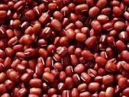  azuki   bean s