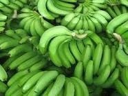 cavendish banana