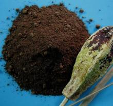 Dutched (Alkalized) 22/24 Cocoa Powder - Dark Brown