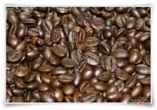 The Real Luwak Coffee / Civet Coffee