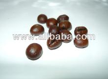 SPECIAL COFFEE BEAN