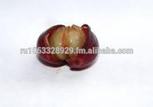 Chlorogenic Acid Powder Green Coffee Bean