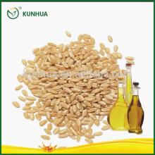 Wheat Germ Oil Liquid Vitamin E