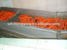 2012Crop Carrot