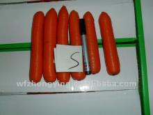 2012 crop fresh carrot,health food
