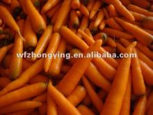 frozen baby carrots