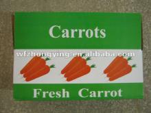 2012 Hebei fresh carrot ---fresh carrots for sale