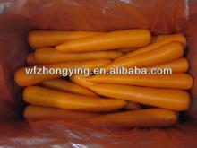 red orange carrot