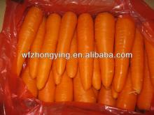 Fresh carrot with good quality from china