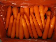 Juicer carrot,black carrot,carrots from china