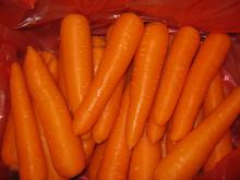  carrot ,fresh  carrot ,  juicer   carrot  from china