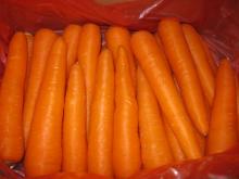 carrot,fresh carrot, black carrot seeds from china