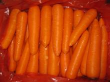 carrot,fresh carrot, carrot cutting machine from china