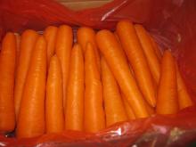 carrot,fresh carrot, carrot juicer machine from china