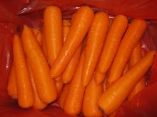 carrot,fresh carrot, carrot juice production line from china