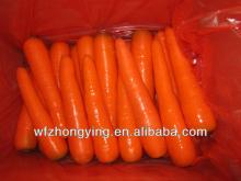 2014 Red Seasonable Fresh Small Carrot Origin XIAMEN New Crop
