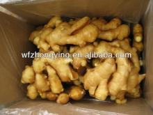 fresh ginger for sale(SGS,ISO, GAP )