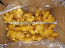 new crop Chinese fresh ginger/air dried gigner