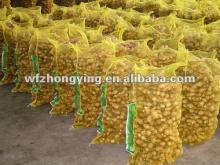 Processed in good quality ginger (specification fresh ginger