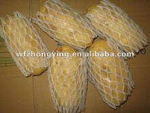 Sale holland potato