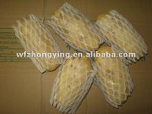 Fresh potato hot  sale  2012 new products