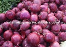 2012 red onion