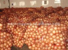  2012   new   crop  fresh ONION