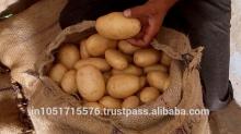 Table Potato