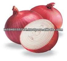RED ONION