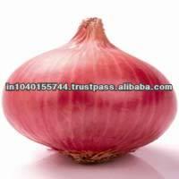 BELLARY ONION