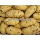 2014  chinese   fresh   potato es