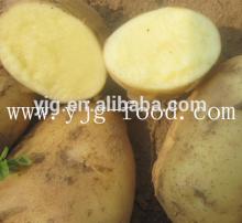 fresh potato import in Malaysia