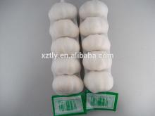 2014 New Crop Chinese Pure White Garlic