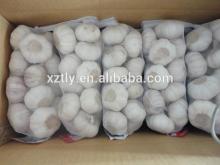 2014 Fresh Normal Shandong White Garlic