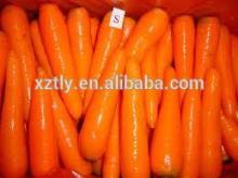 2014 fresh carrot with good quality