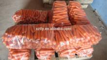 Chinese fresh carrot hot sale