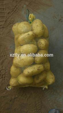 New crop fresh Holland potato