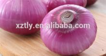 2013 Red Onion, Fresh Onion