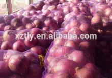 2014 Fresh Red Onion hot sale