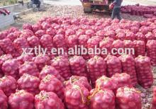2014 Fresh Red Onion for sale