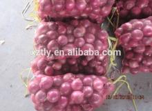 Hot sale fresh  red   onion   mesh  bag packed