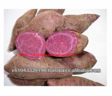Purple sweet potato