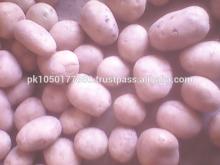 Lady Rosetta Potatoes