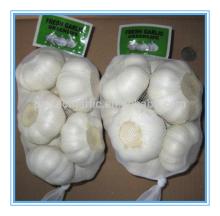 2014 China Natural Garlic, Fresh Garlic China
