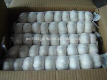 2014 New Crop China Nature Fresh Garlic, Normal white 2014 garlic