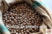 Indonesian Nutmeg spice without shell exporters